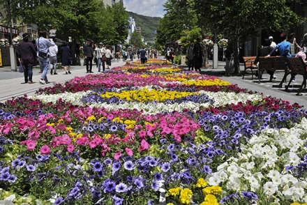 Nagano Zenkoji Flower Corridor